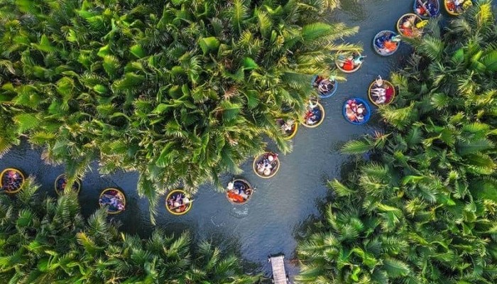 Foresta di cocco _ hoi an vietnam_viaggiare